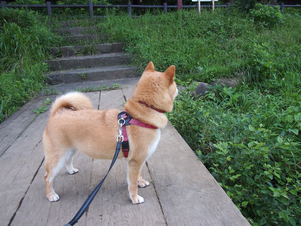 德赢vwin首页(官方)网站-2025年电子竞技产业年度报告发布，行业迎新机遇，电子竞技产业发展规划