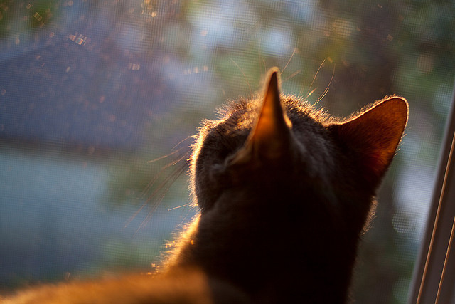 德赢官网ac米兰-_体育旅游新路线：探索世界体育名城_，著名体育城市