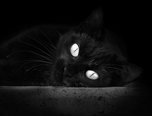 德赢体育app下载安装-_赛事暂停？天气因素影响比赛节奏_，球赛因天气原因中断