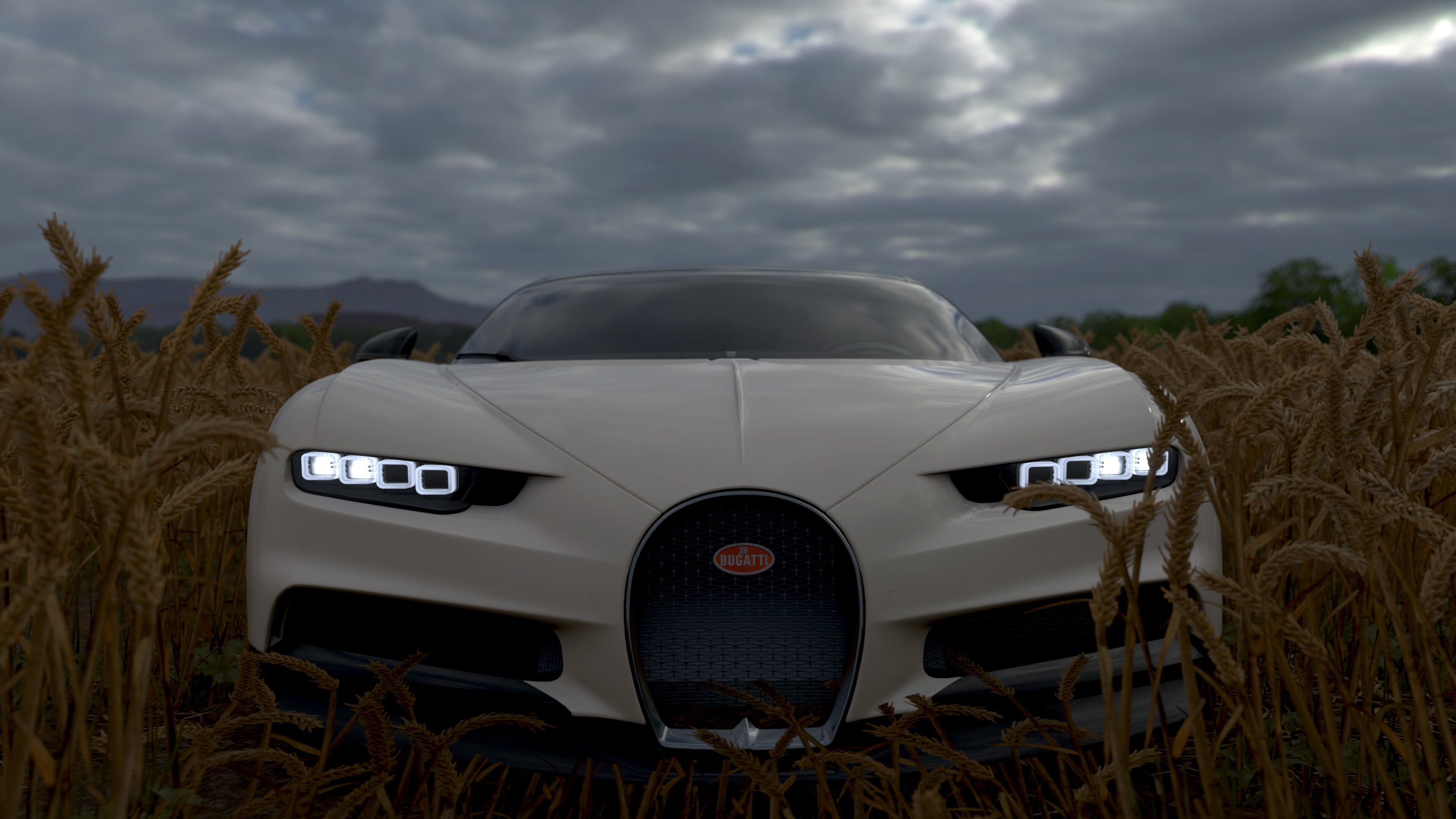 德赢集团-动感十足：极限运动嘉年华，极限运动集锦