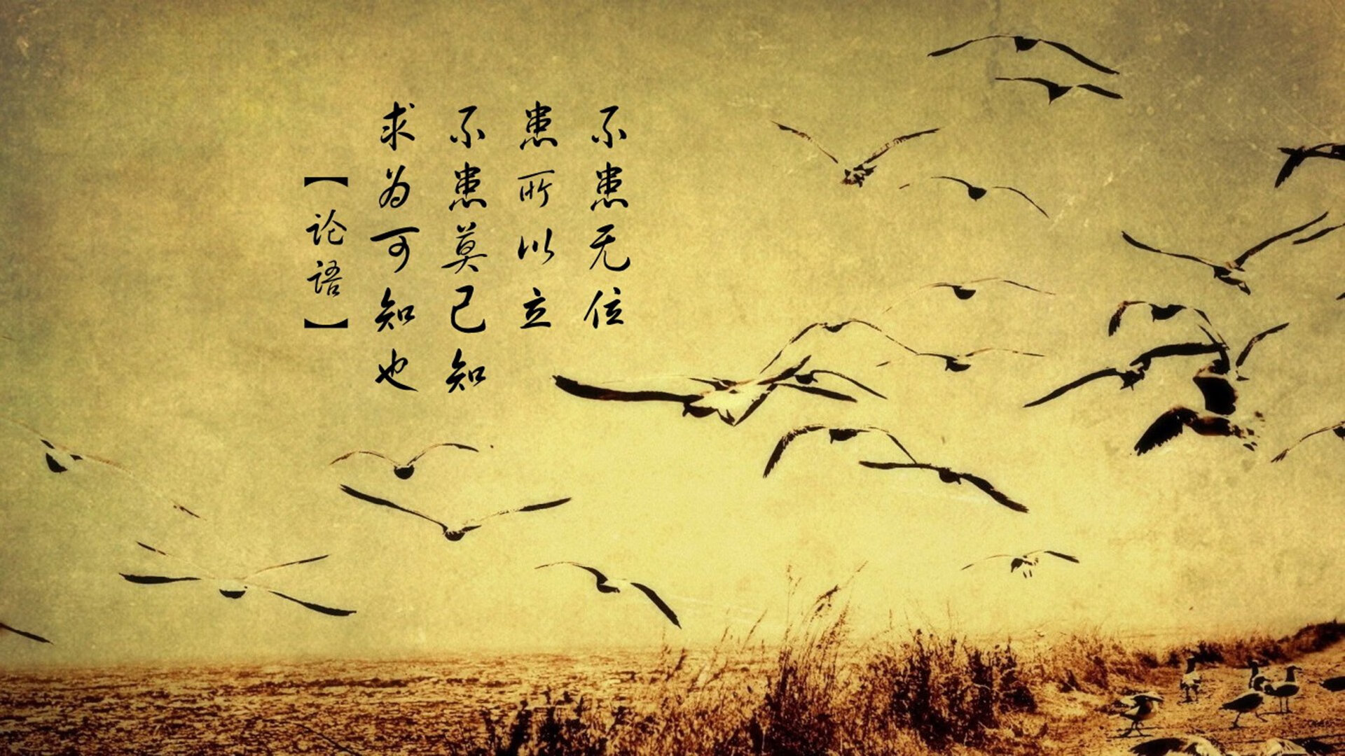 影响深远：联盟在青少年推广中的创新之路，影响联盟官网