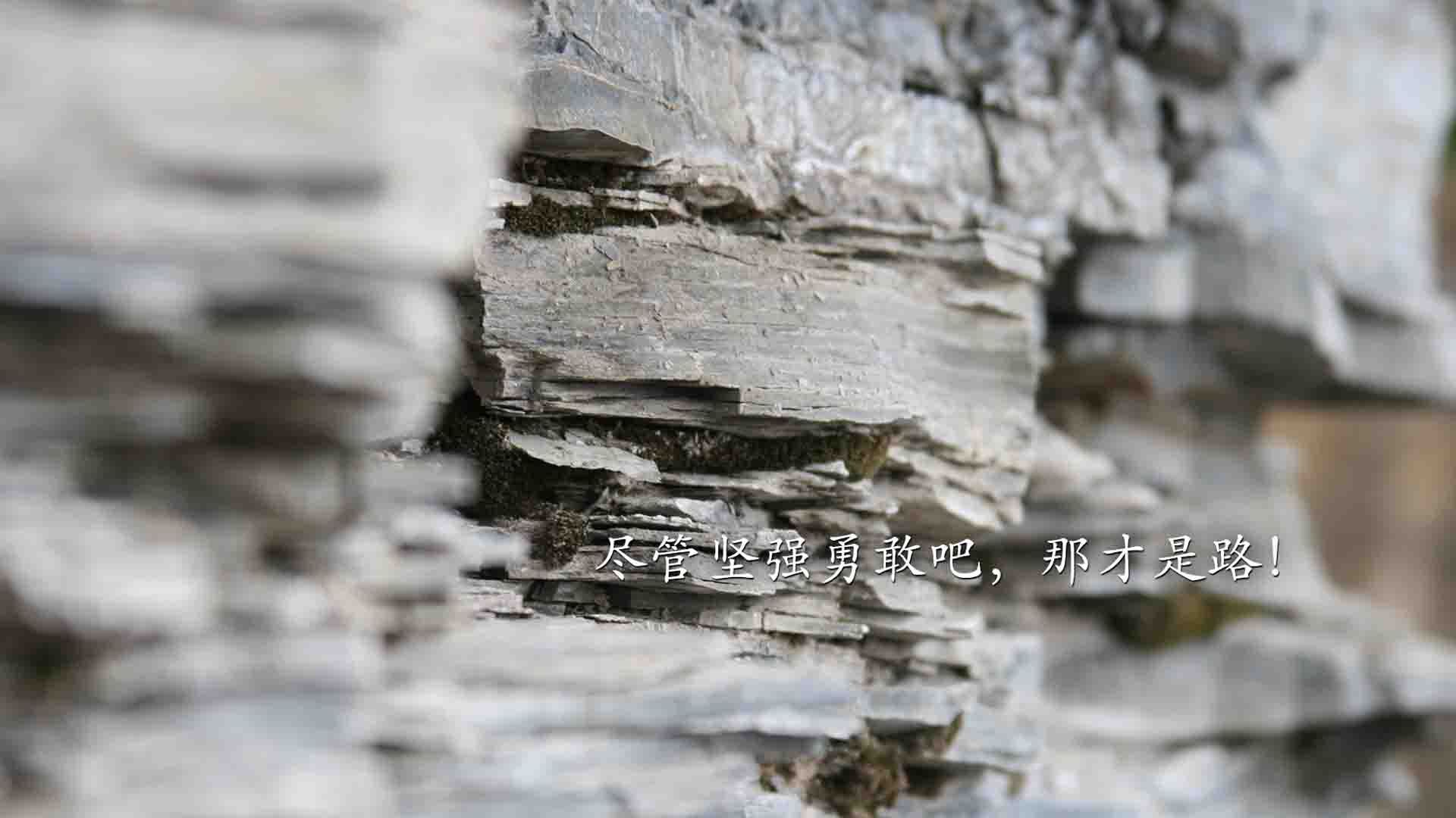 德赢vwin首页(官方)网站下载-影响深远：联盟如何用科技助力绿色发展？，科技创新助推绿色转型的积极作用