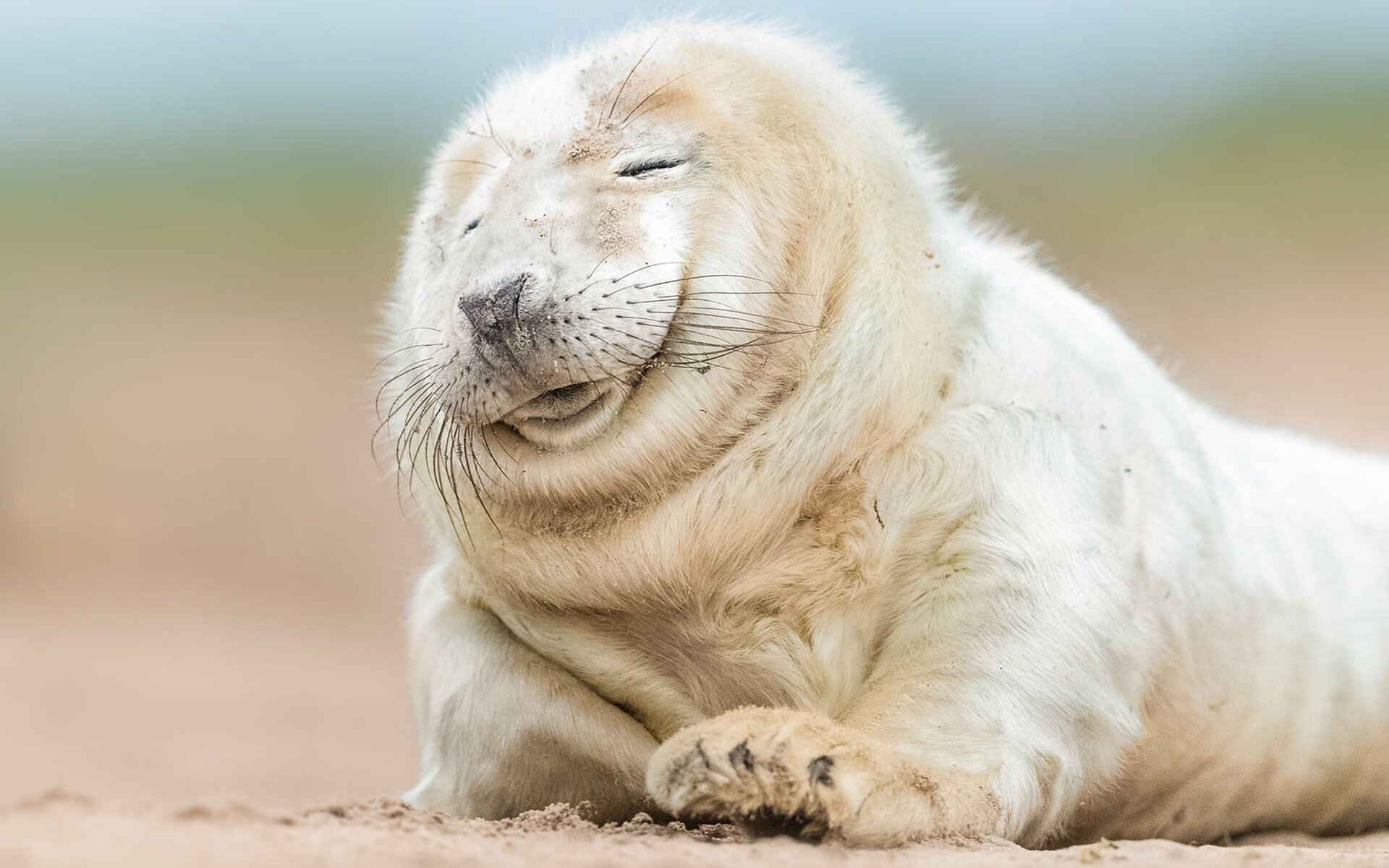 德赢体育娱乐平台-T1新人训练营计划启动，t1训练赛