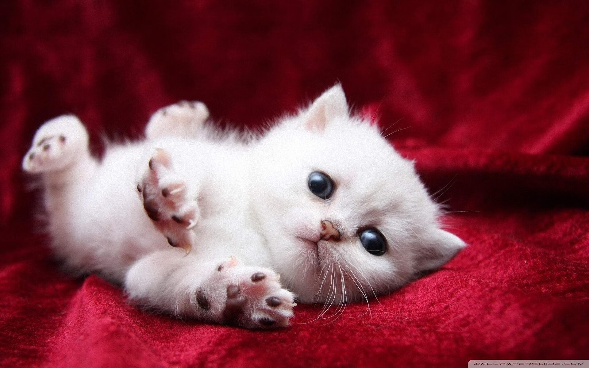 德赢vwin首页-利物浦绝境逆转，成功晋级淘汰赛，利物浦最意外的绝杀