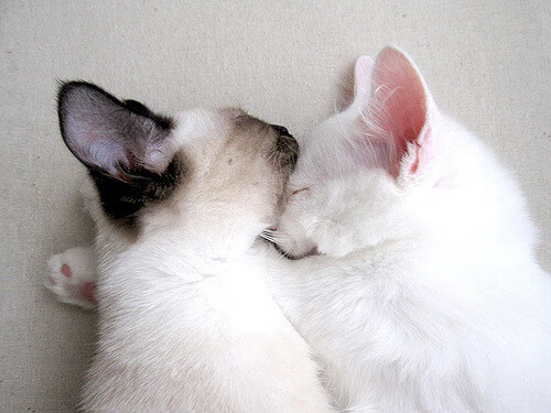 德赢体育手机登陆网址-小组赛收官，澳大利亚队成功晋级，小组赛收官,澳大利亚队成功晋级了吗