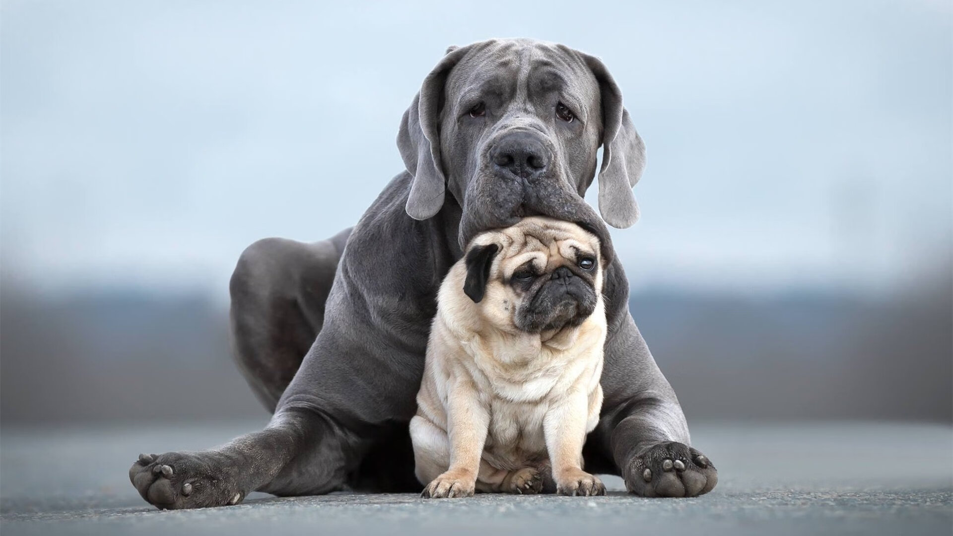 德赢官网登录入口-意甲球队发布了新的赛季赛程安排，意甲球队发布了新的赛季赛程安排表