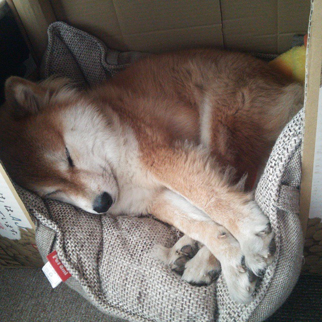 新西兰女足门将扑出关键球，力挽狂澜！，新西兰女足比分