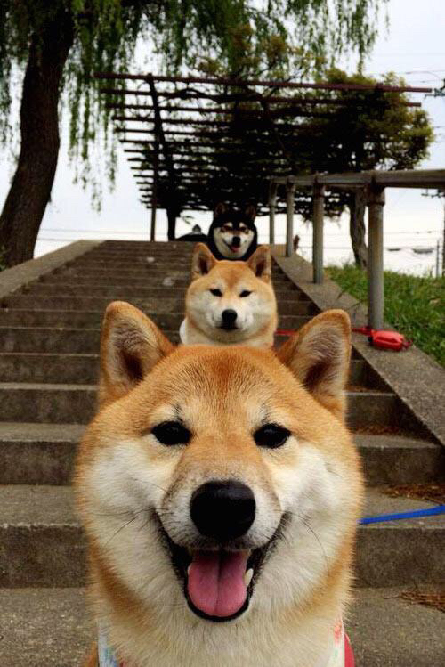 德赢体育注册登陆网址-蓝月亮客场负于阿森纳，争四形势严峻，蓝月亮官方网站正宗网