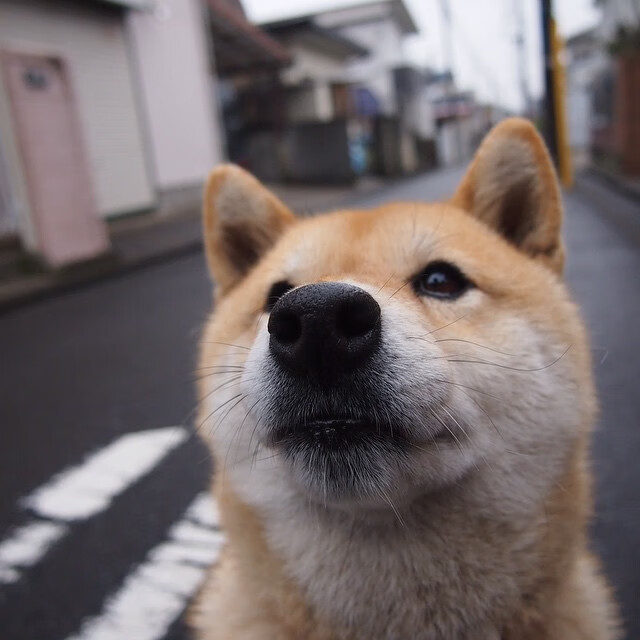 vwin德赢网页版-里昂主场击败对手，里昂新主场