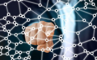 德赢vwin首页(官方)网站-中国足球青训梯队人员年龄层结构，足球青训年龄段