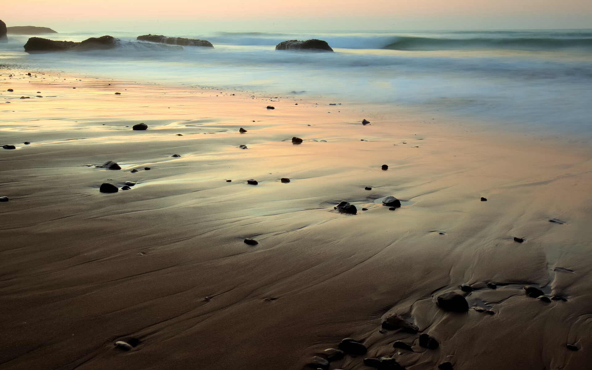 德赢app官网-体育新闻中心开展体育短视频内容运营培训，体育项目视频简介