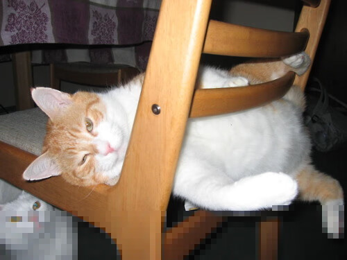 德赢体育手机登陆网址-儿童皮划艇体验营点燃亲子热情，皮划艇亲子活动