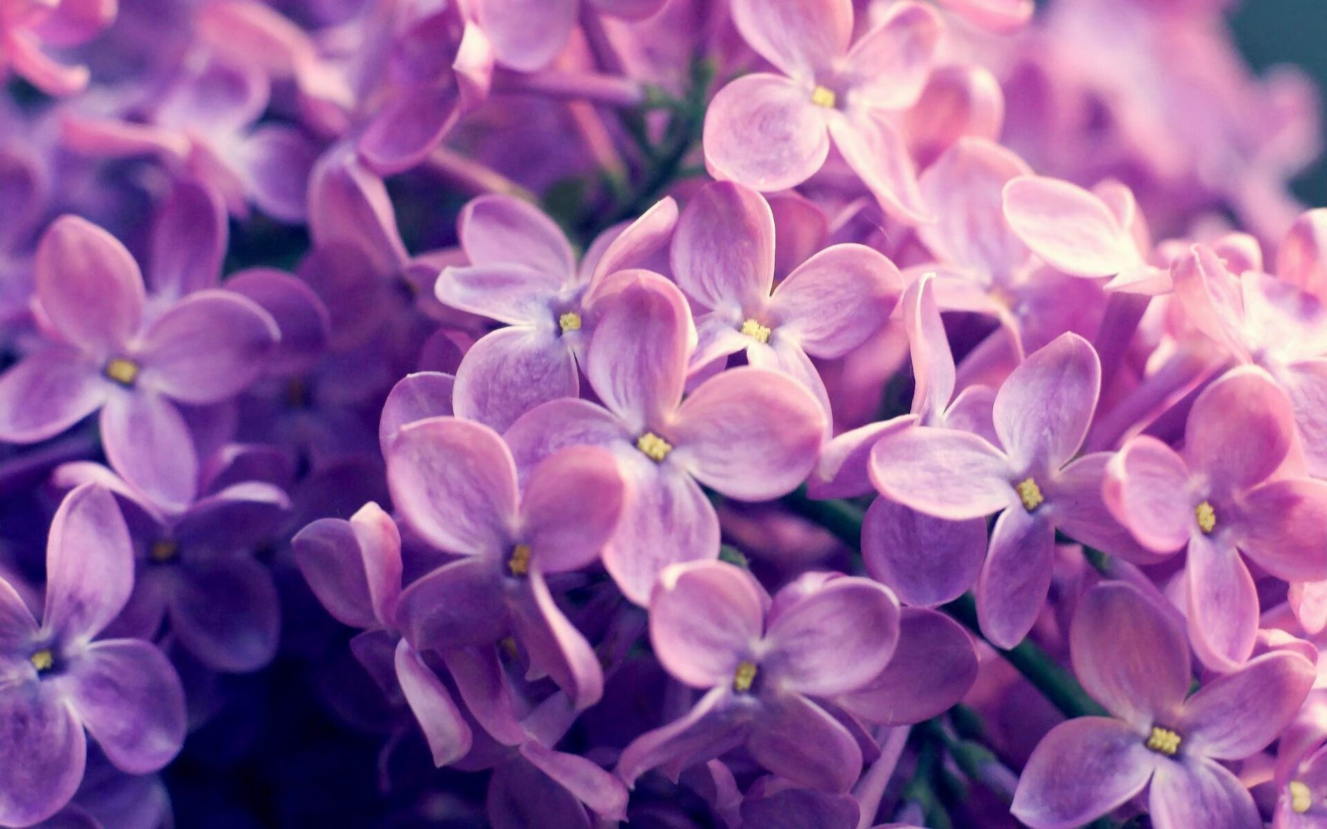 德赢体育app官方下载地址-拜仁中后场传控稳定无误，拜仁后场球员