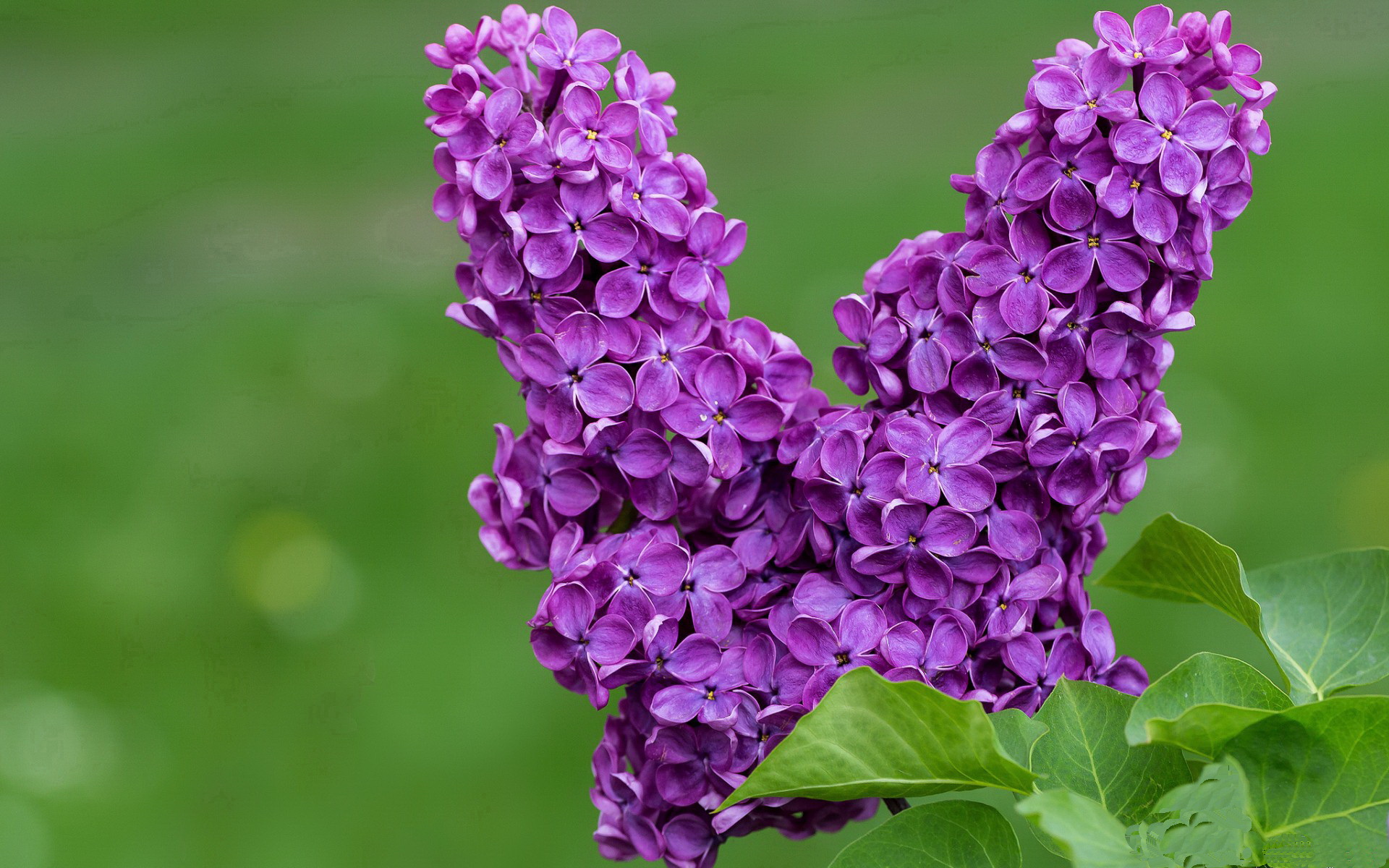 中超联赛多支球队更换主场城市城市足球热情持续升温，八成中超俱乐部更名符合要求