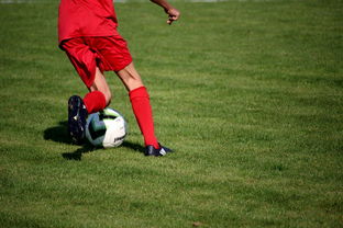 德赢体育娱乐平台-国脚待遇结构调整引导更多球员留在国内发展，国家队国脚
