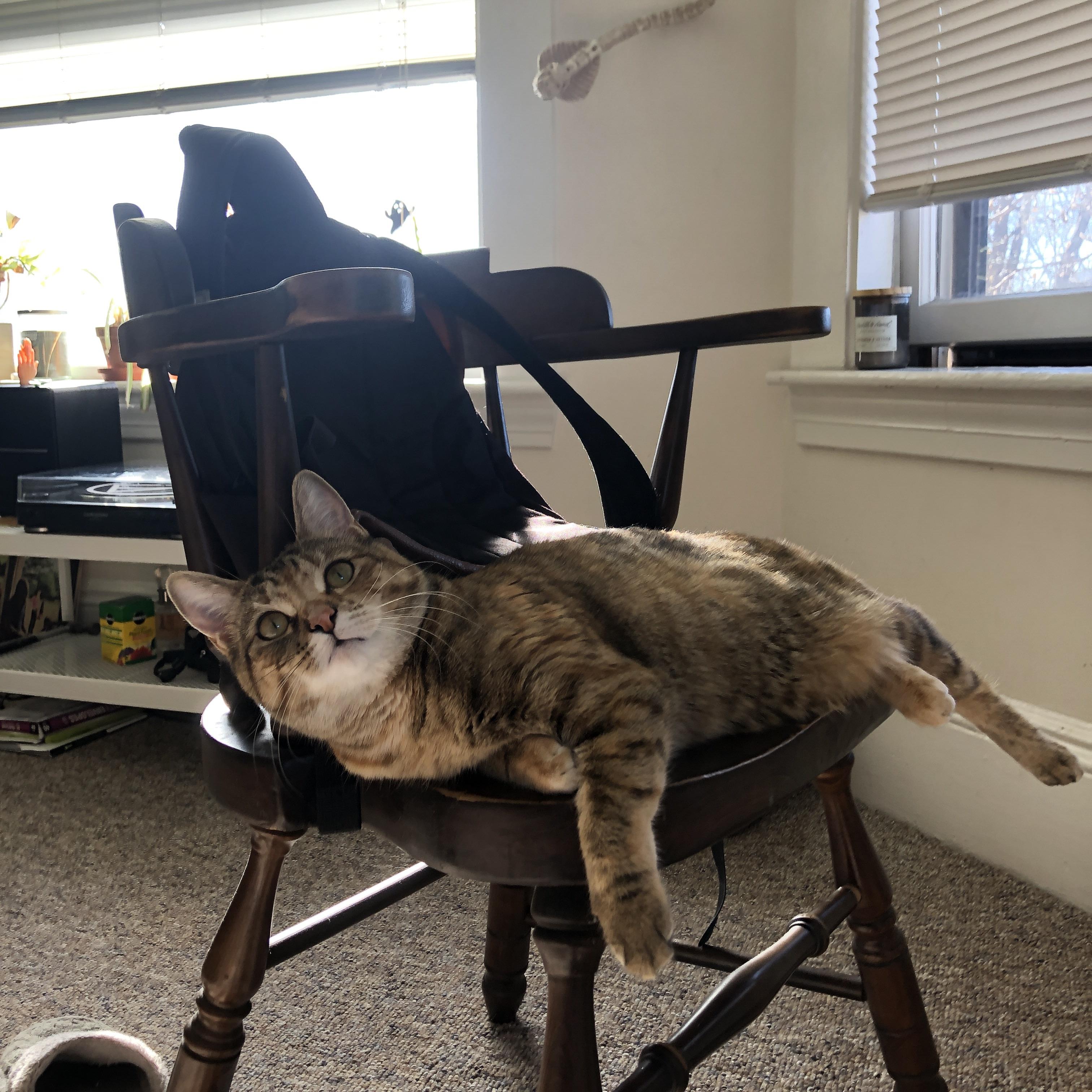 德赢vwin首页(官方)网站下载安装-塞尔·拉恩：迅猛的速度和突破能力，让他成为全黑队进攻的杀手锏