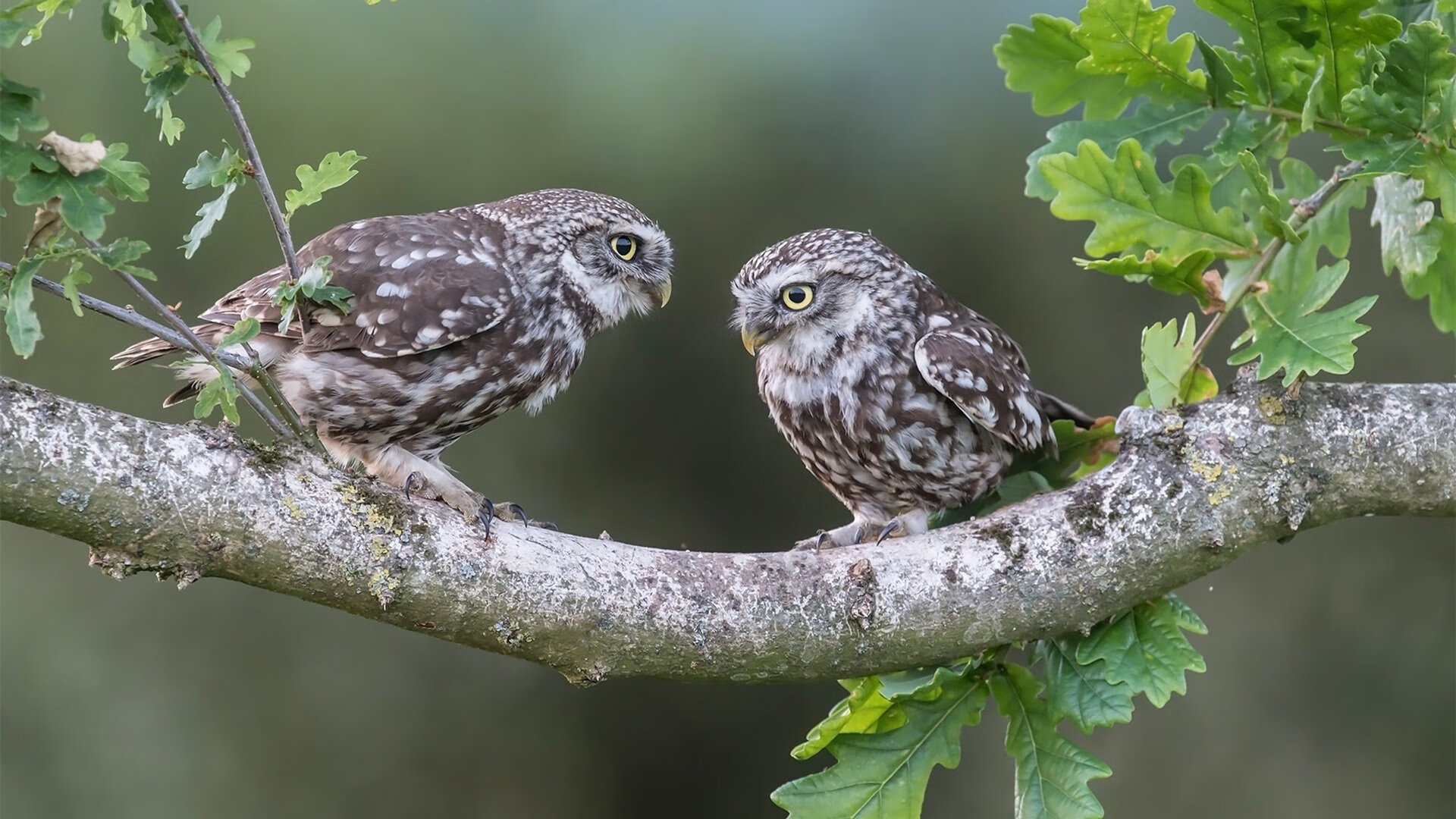 VWIN(china)官方网站-女子足球运动员职业转型培训计划正式启动，女性足球运动员