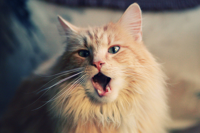 德赢vwin首页-篮板争夺成湖人团队训练重点，湖人篮板排名